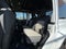 2026 Jeep Wrangler 85th Anniversary Edition