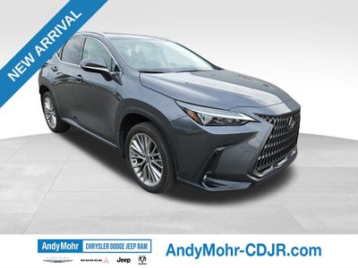 2025 Lexus NX 350h Premium