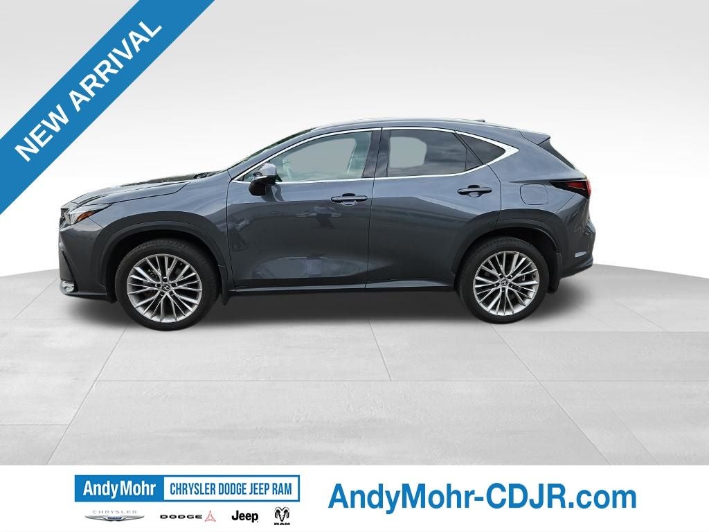 2025 Lexus NX 350h Premium