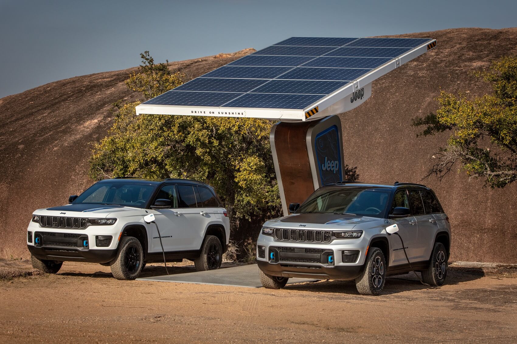 Electric Vehicles Inventory